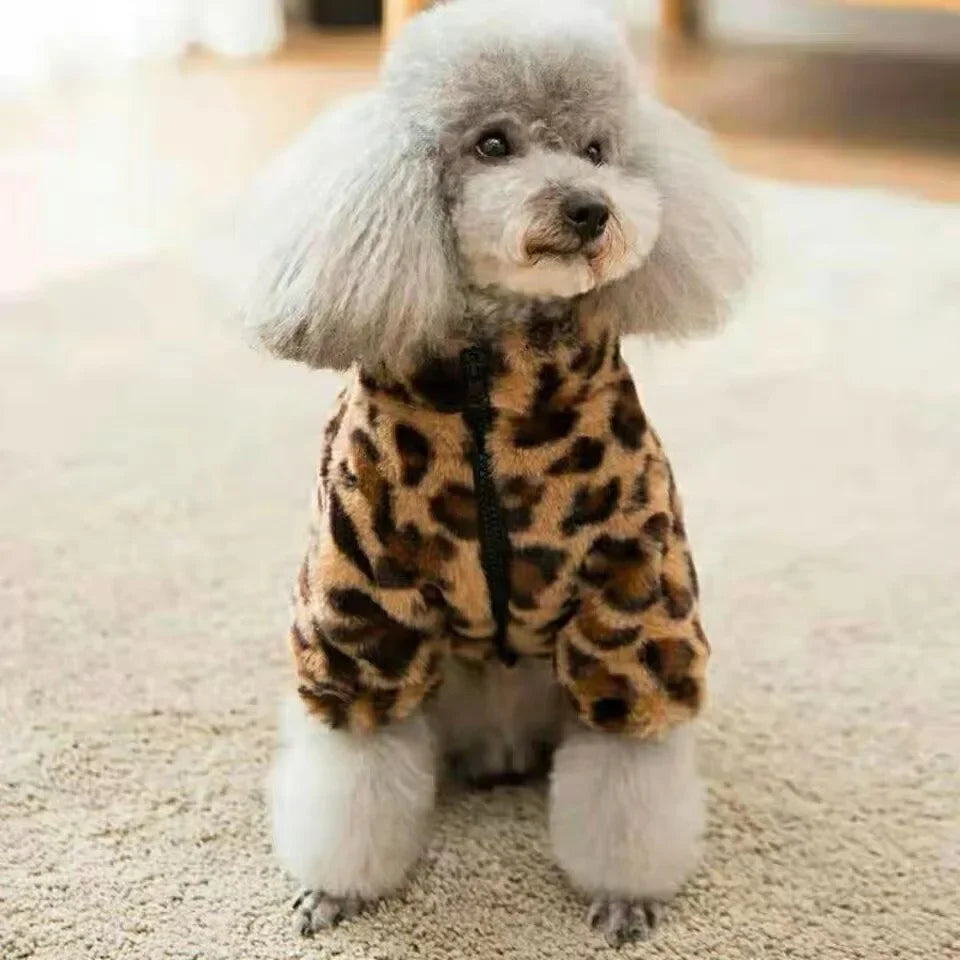 Dogs Coat Leopard