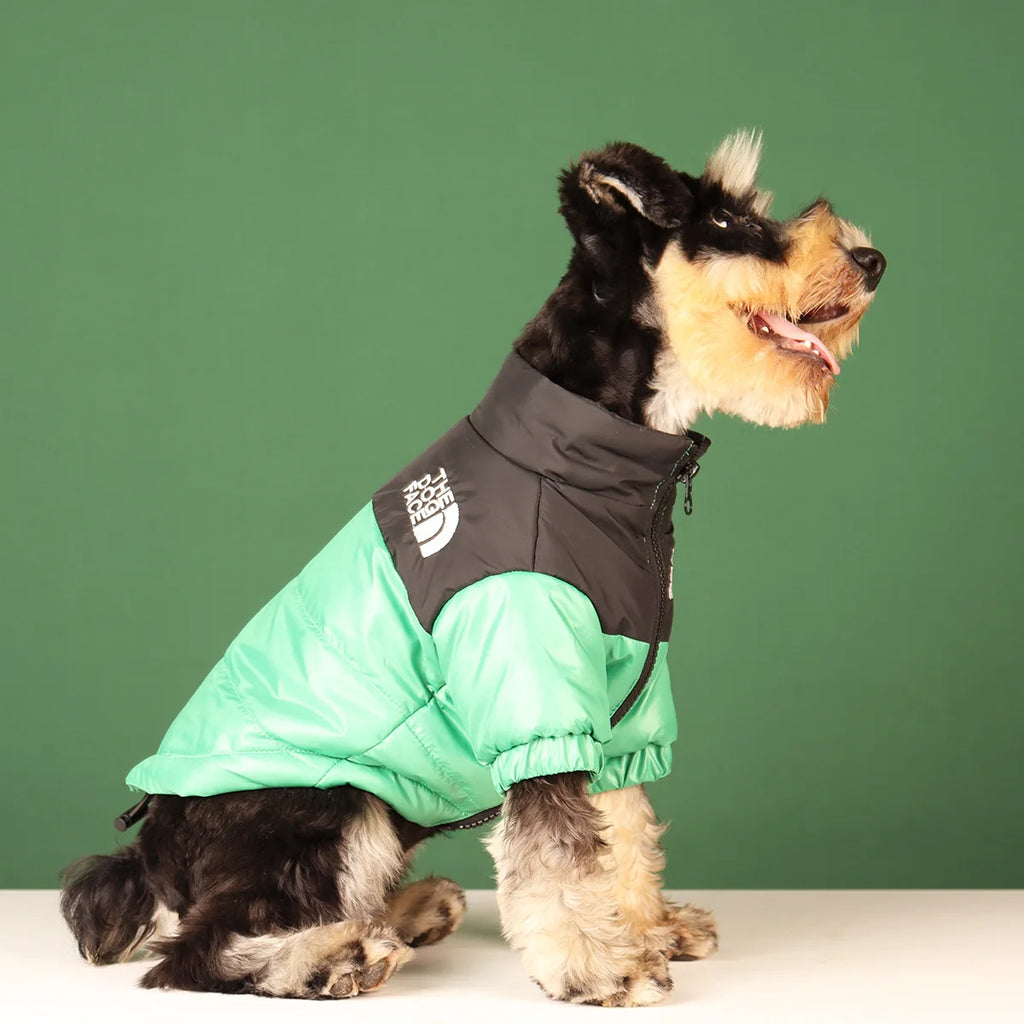 Winter Dog Clothes