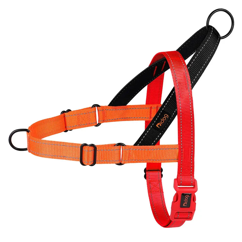 ActiveNight Harness