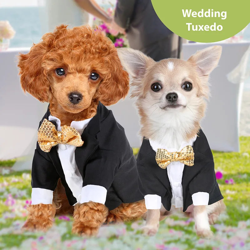 Formal Shirt for Small Dogs