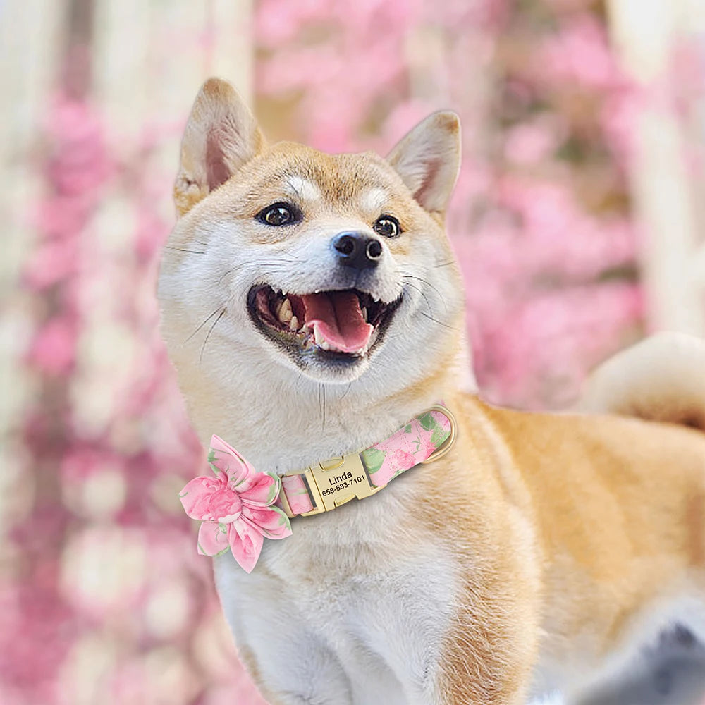 Custom Nylon Dog Collar