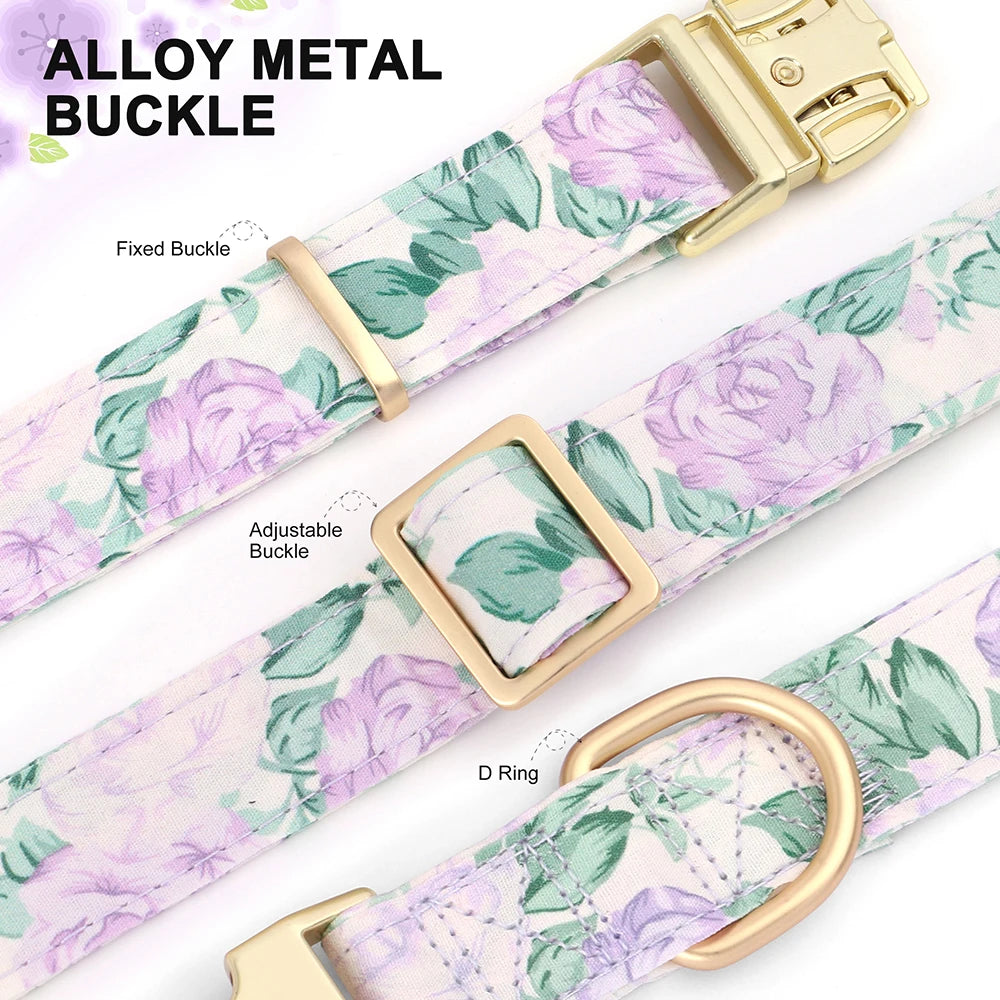 Custom Nylon Dog Collar