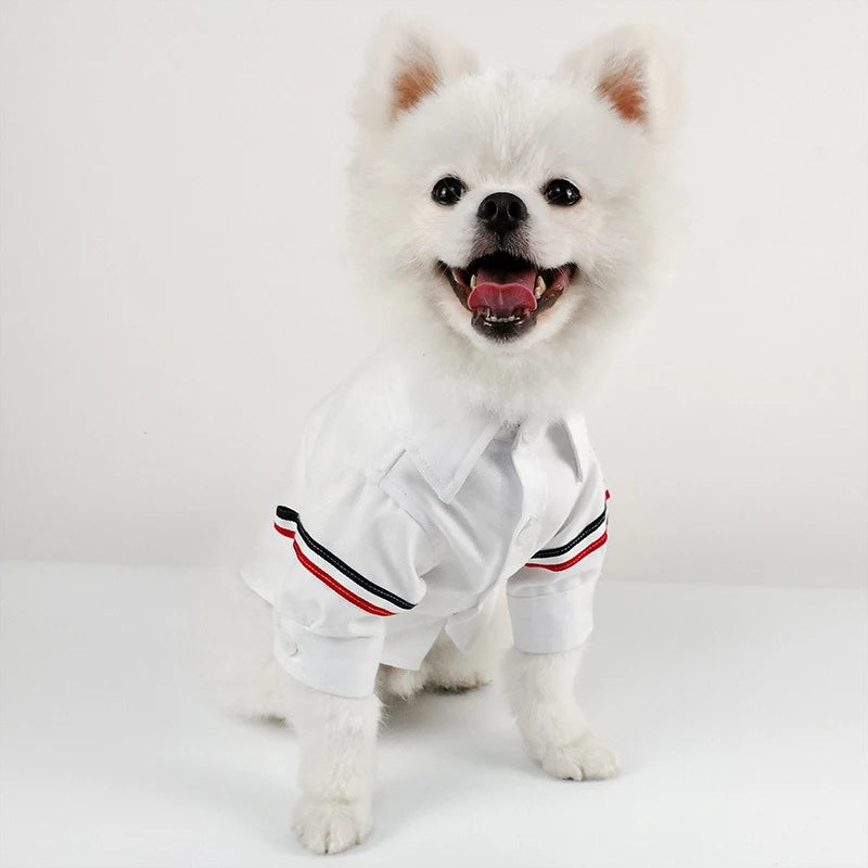 Spring Autumn Summer Pet Outfits