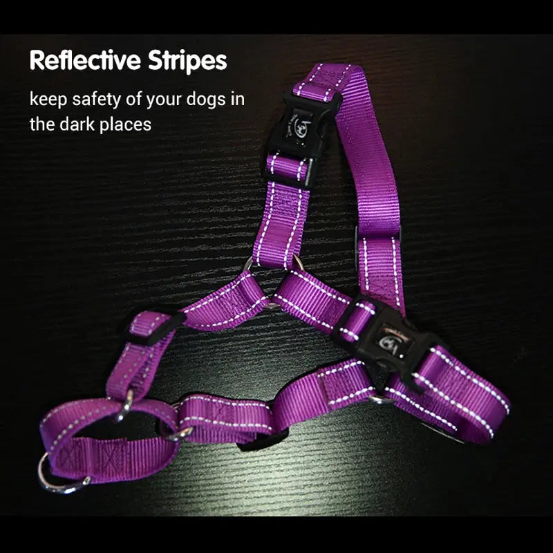 proSafe Comfort Halter
