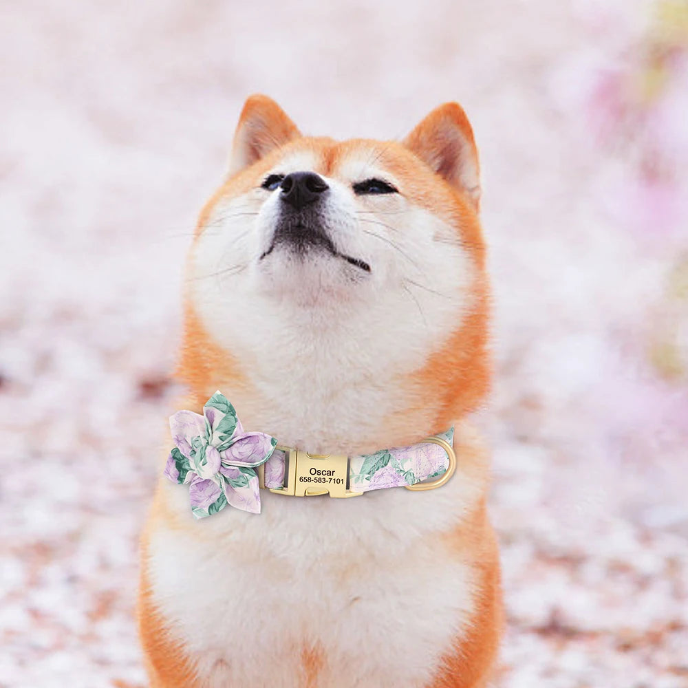 Custom Nylon Dog Collar
