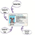 DOG ID
