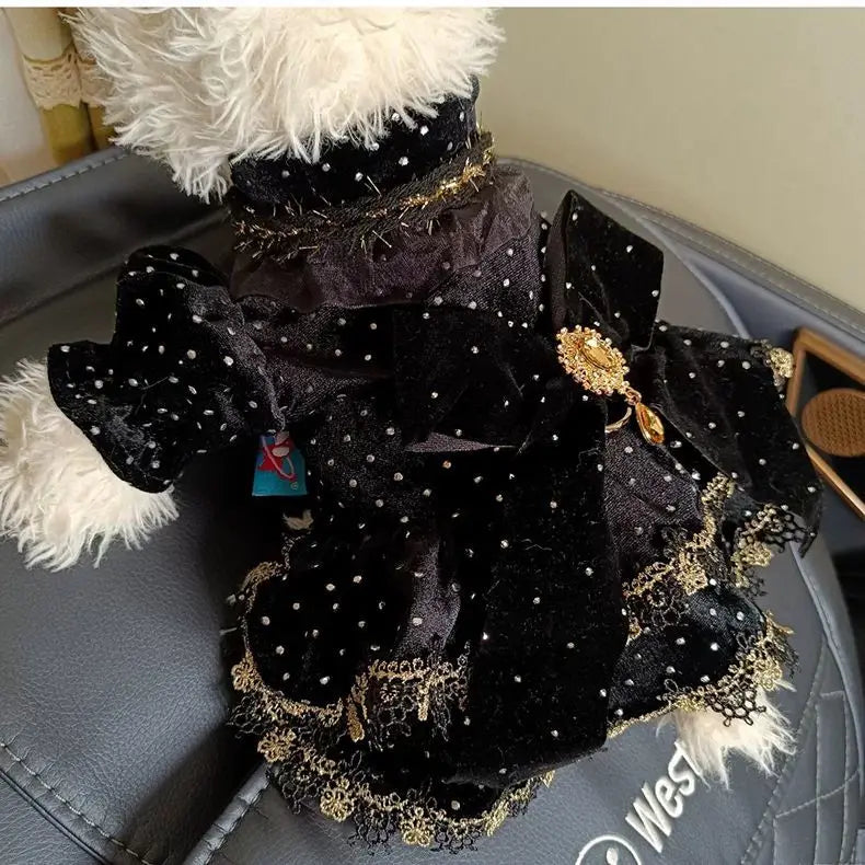 Dog Dress - Velvet Black Gold Fashion Clothing