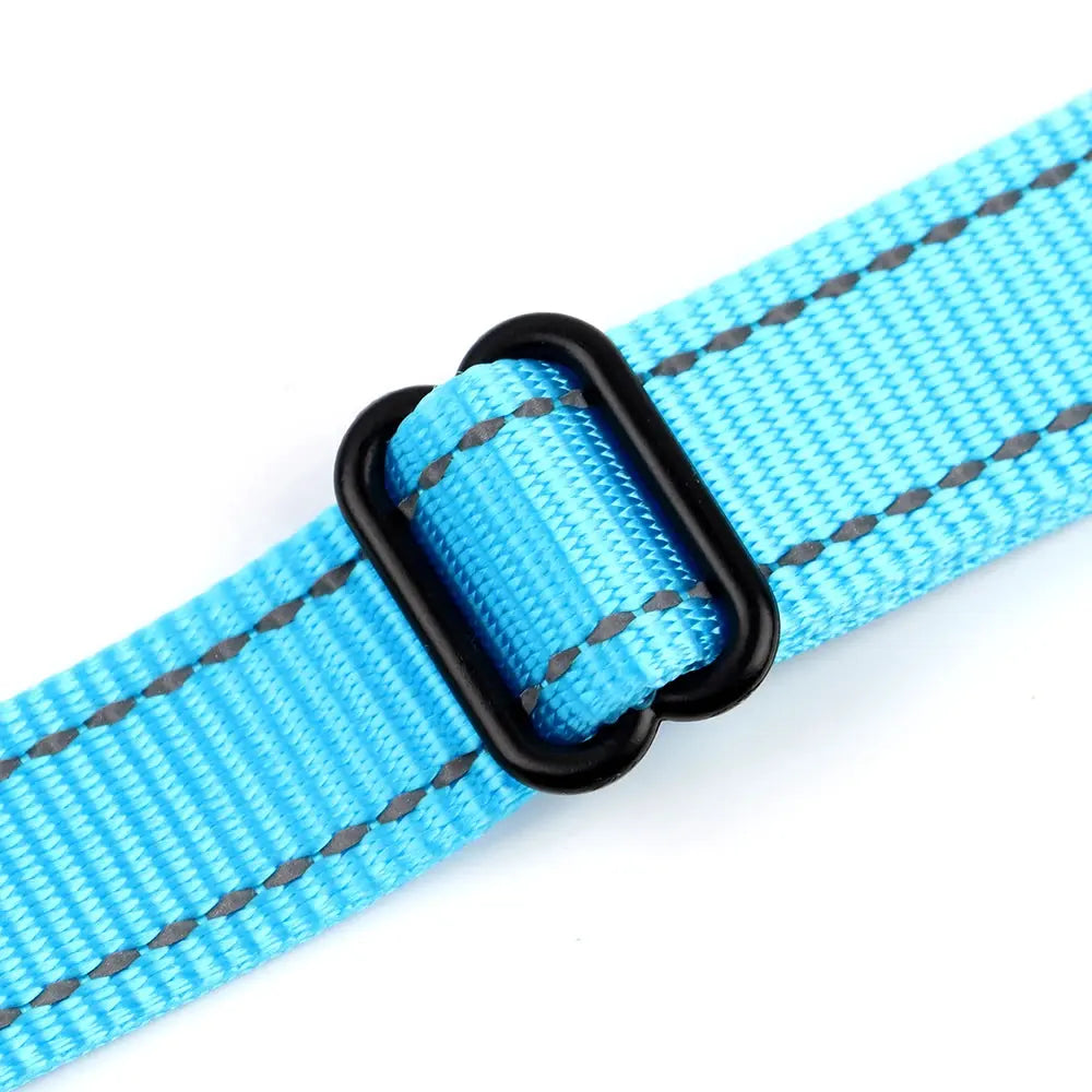 ActiveNight Harness