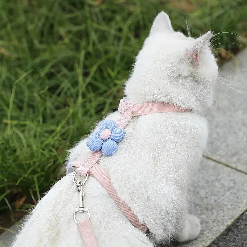 Cat Harness and Leash Sets Adjustable Dog Harness for Small Dog Leash Breashable Pet Harness Out Walking Dog Strap CobraDobra