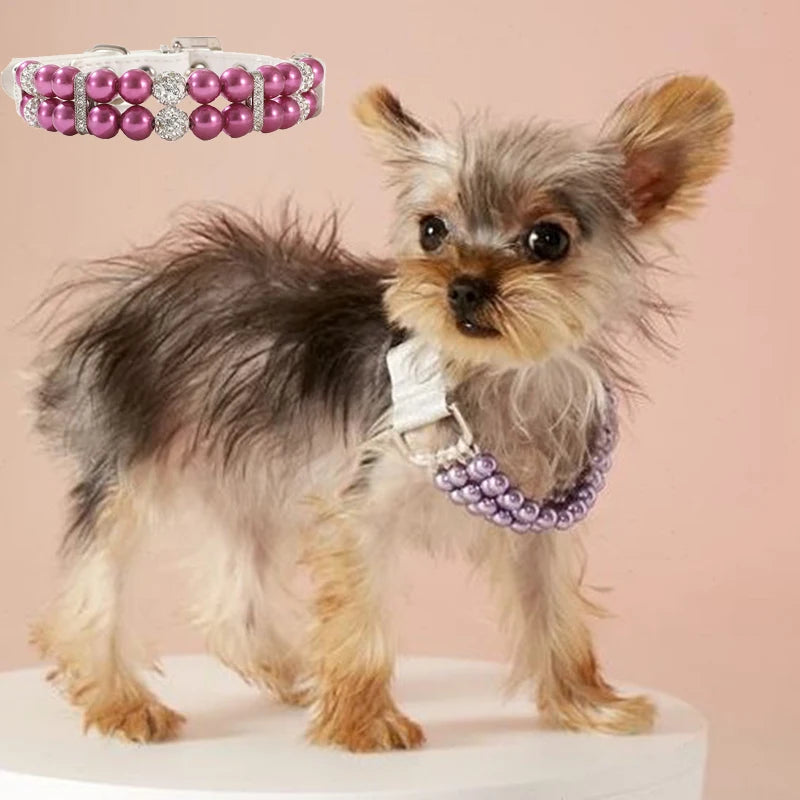 Cat / Dog Collar and Leash Set Pet CobraDobra
