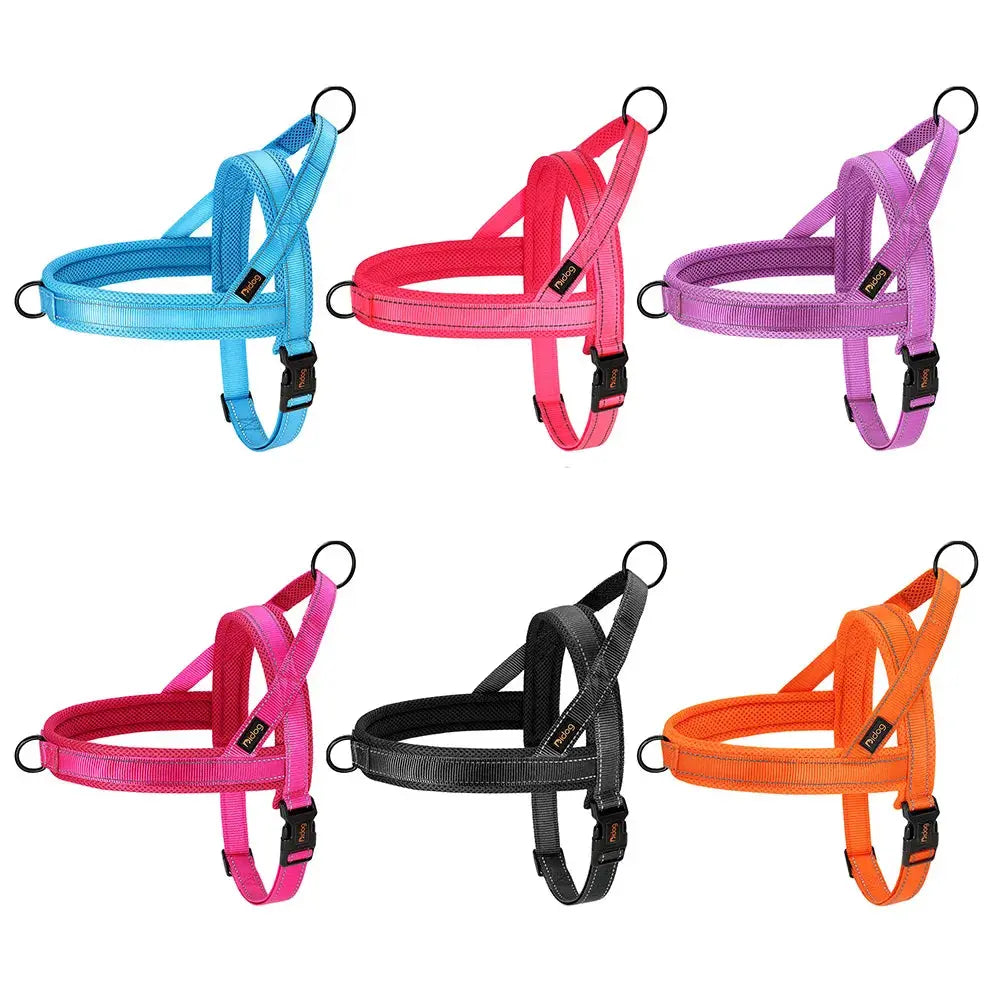 EverGlow Personalized Harness