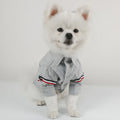 Spring Autumn Summer Pet Outfits