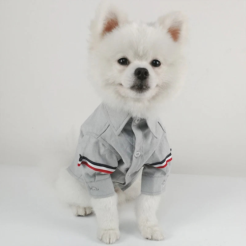 Spring Autumn Summer Pet Outfits