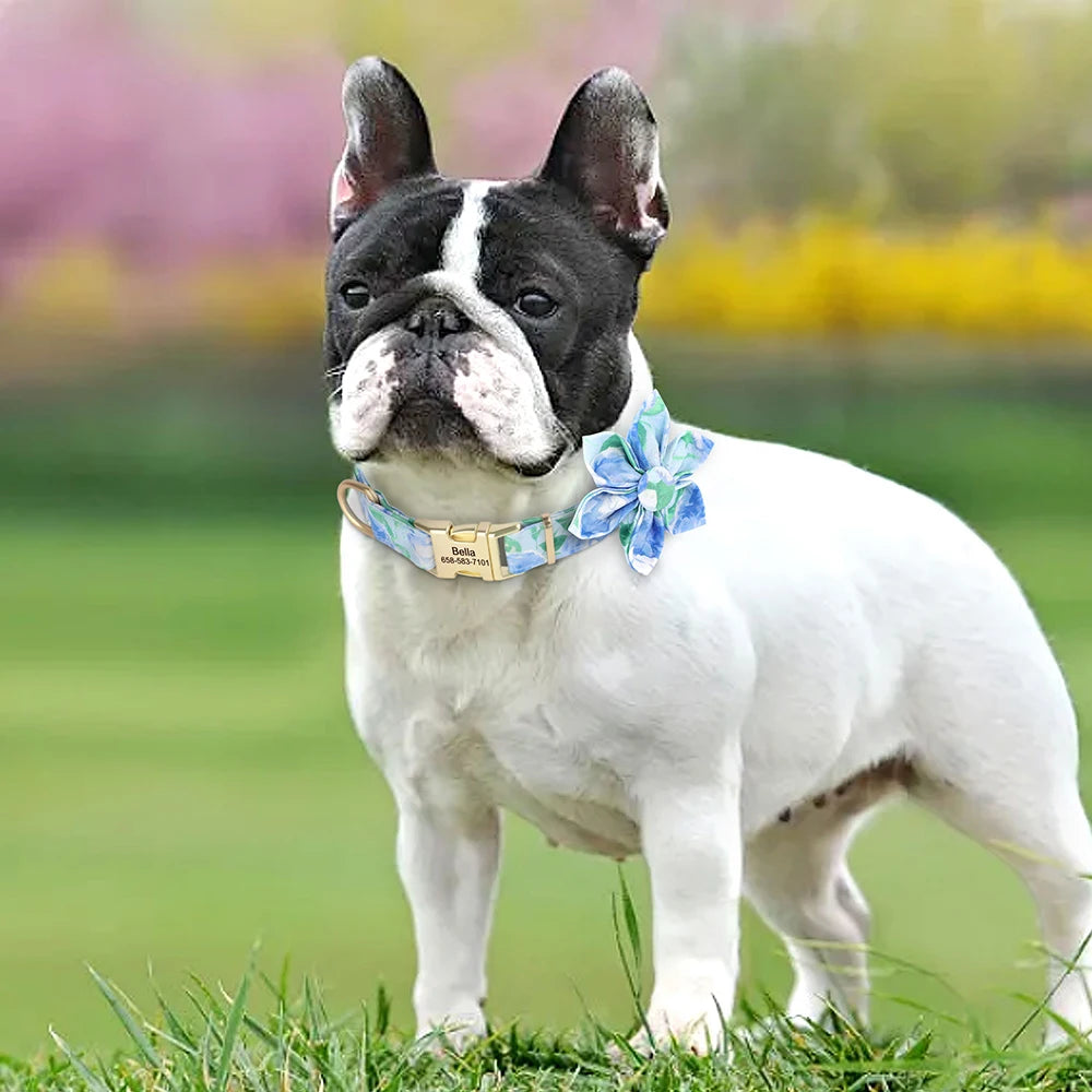 Custom Nylon Dog Collar