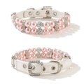 Cat / Dog Collar and Leash Set Pet CobraDobra