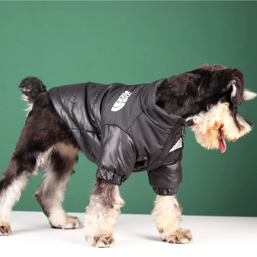 Winter Dog Clothes