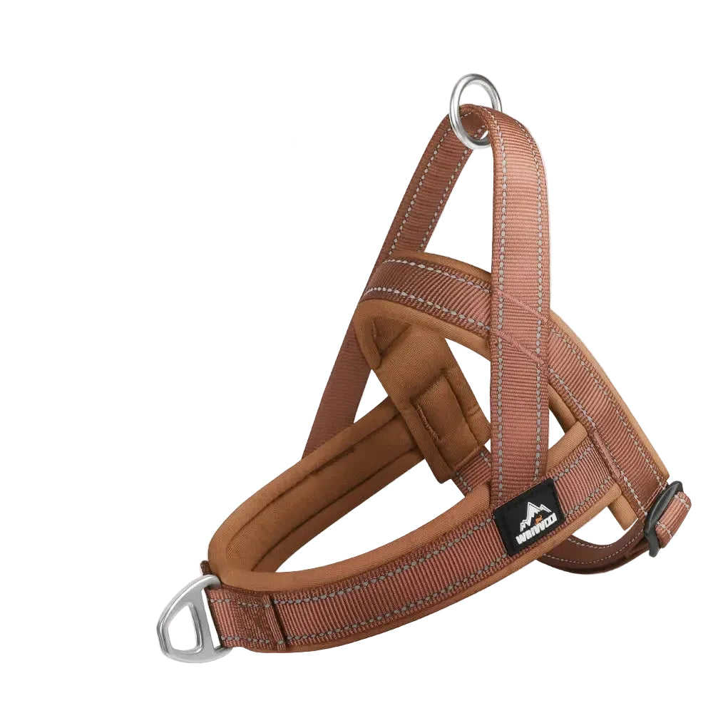 SteadyHalter Harness
