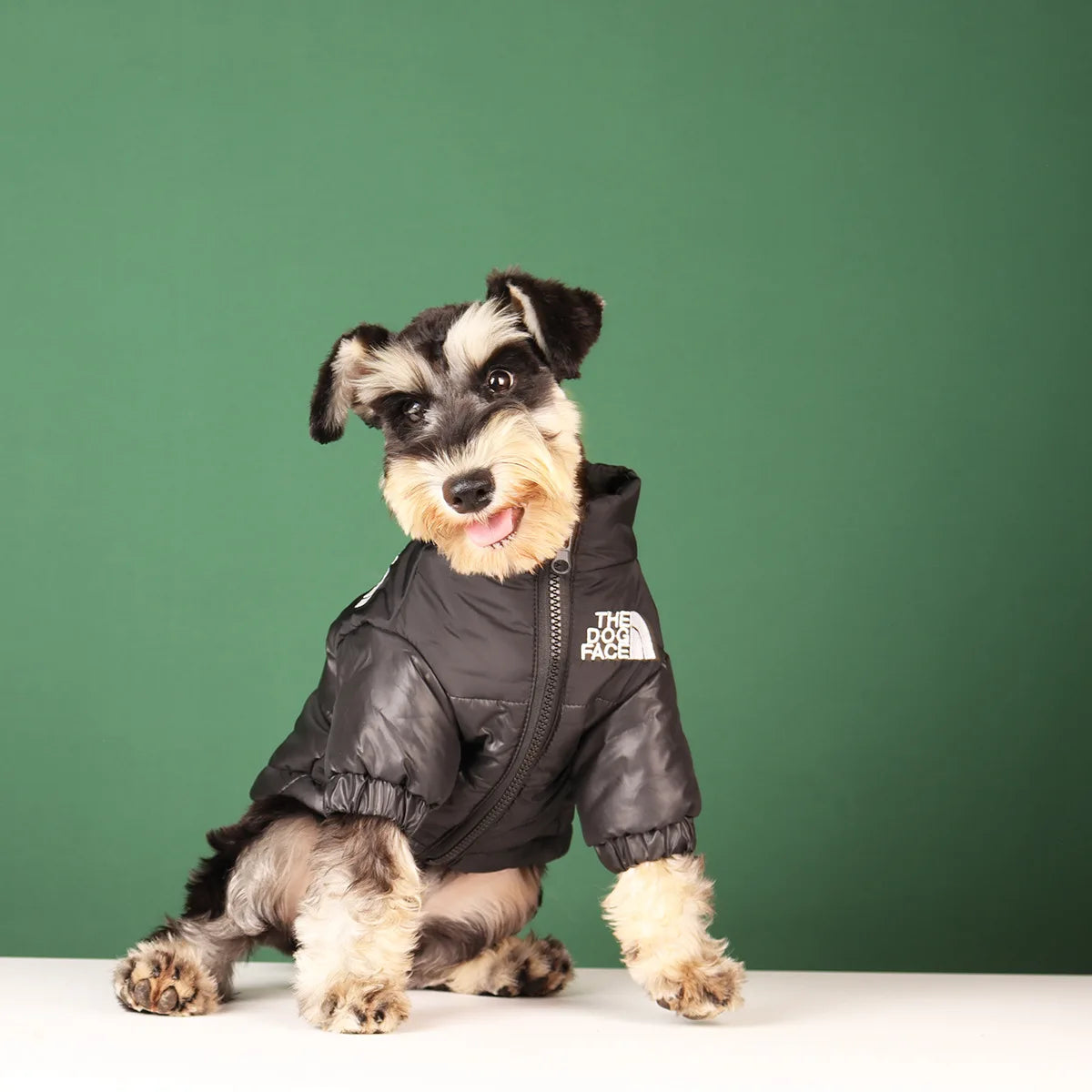 Winter Dog Clothes