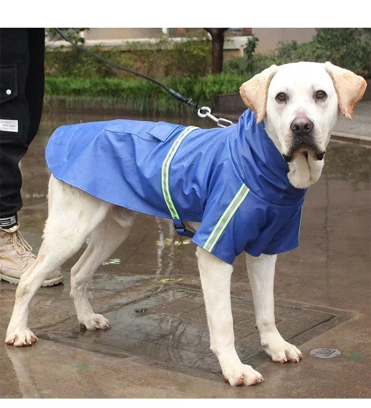 Large Dog Raincoat