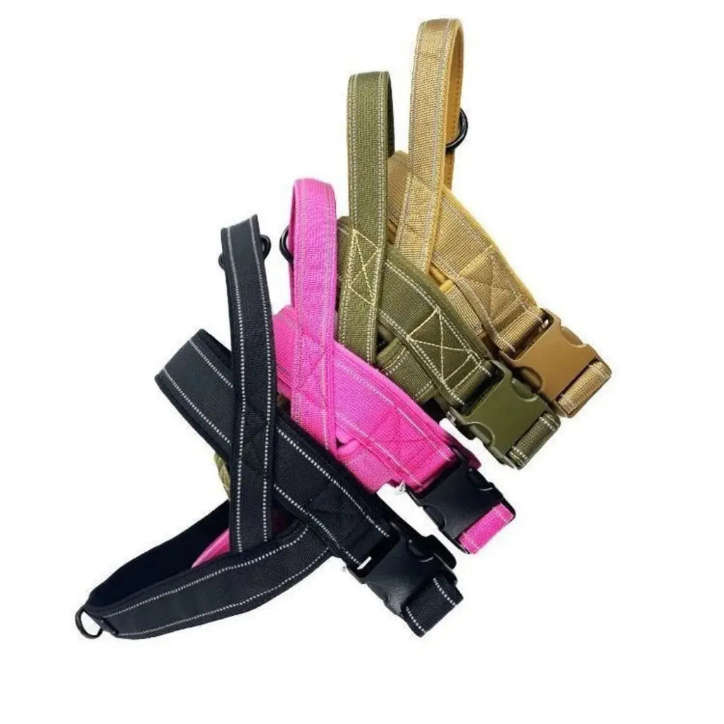 EasyGo Harness