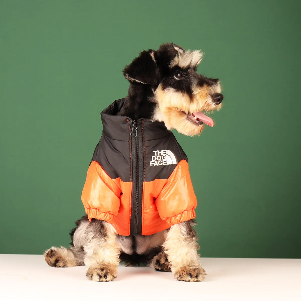 Winter Dog Clothes
