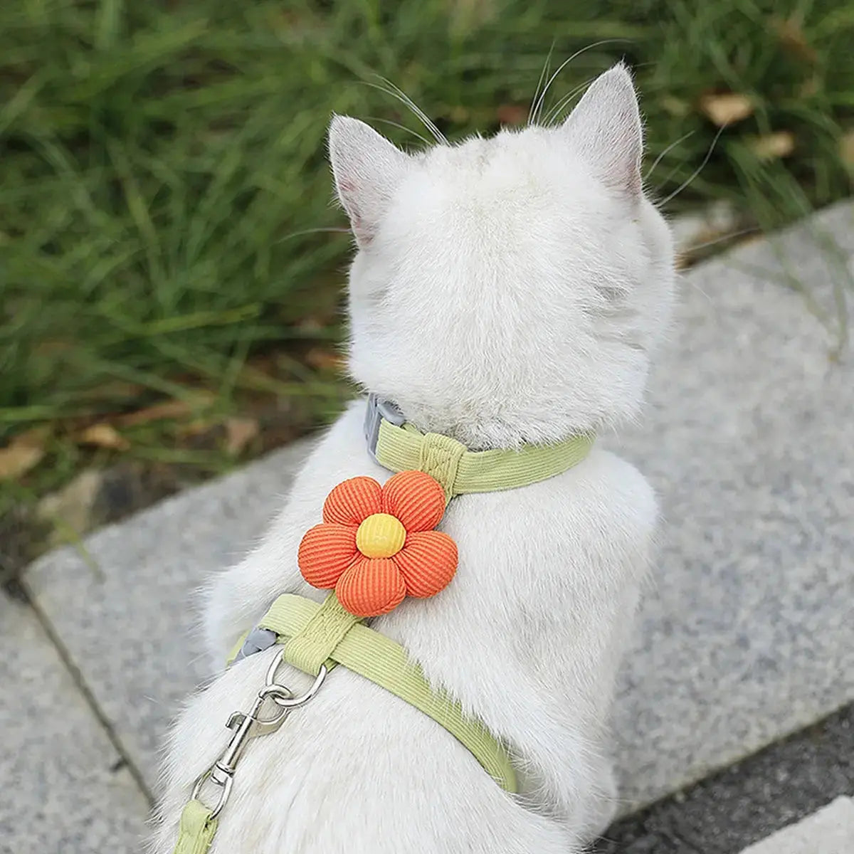 Cat Harness and Leash Sets Adjustable Dog Harness for Small Dog Leash Breashable Pet Harness Out Walking Dog Strap CobraDobra