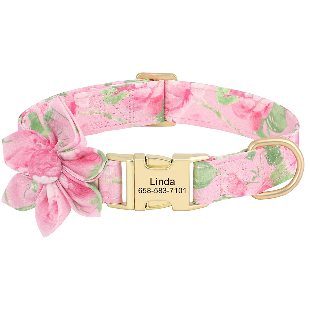 Custom Nylon Dog Collar
