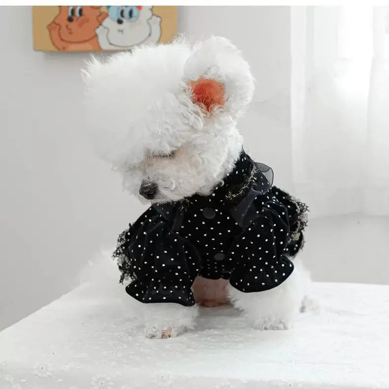 Dog Dress - Velvet Black Gold Fashion Clothing