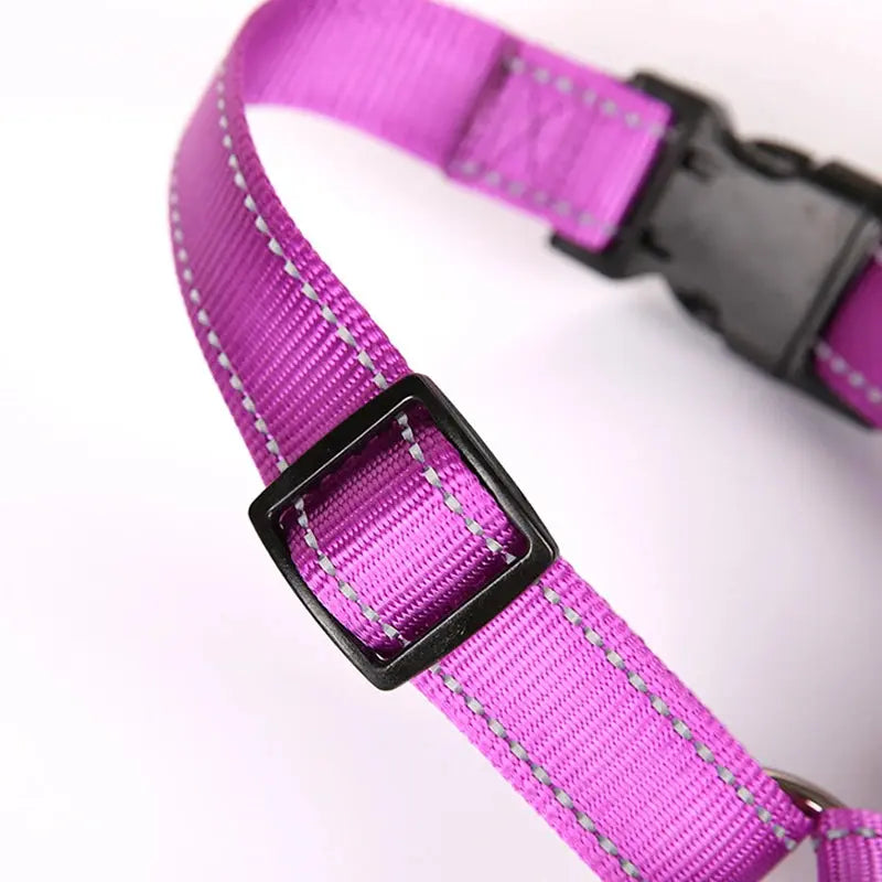proSafe Comfort Halter