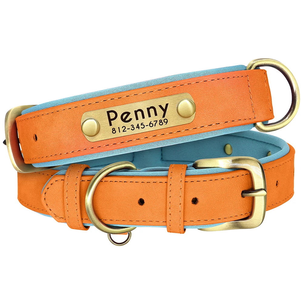 Customized Leather Dog Collar