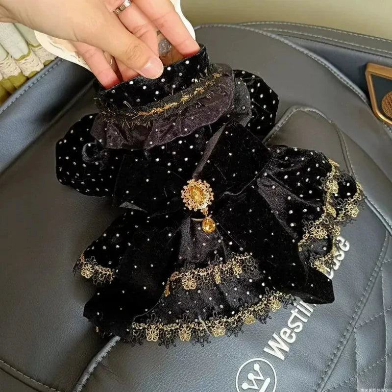 Dog Dress - Velvet Black Gold Fashion Clothing