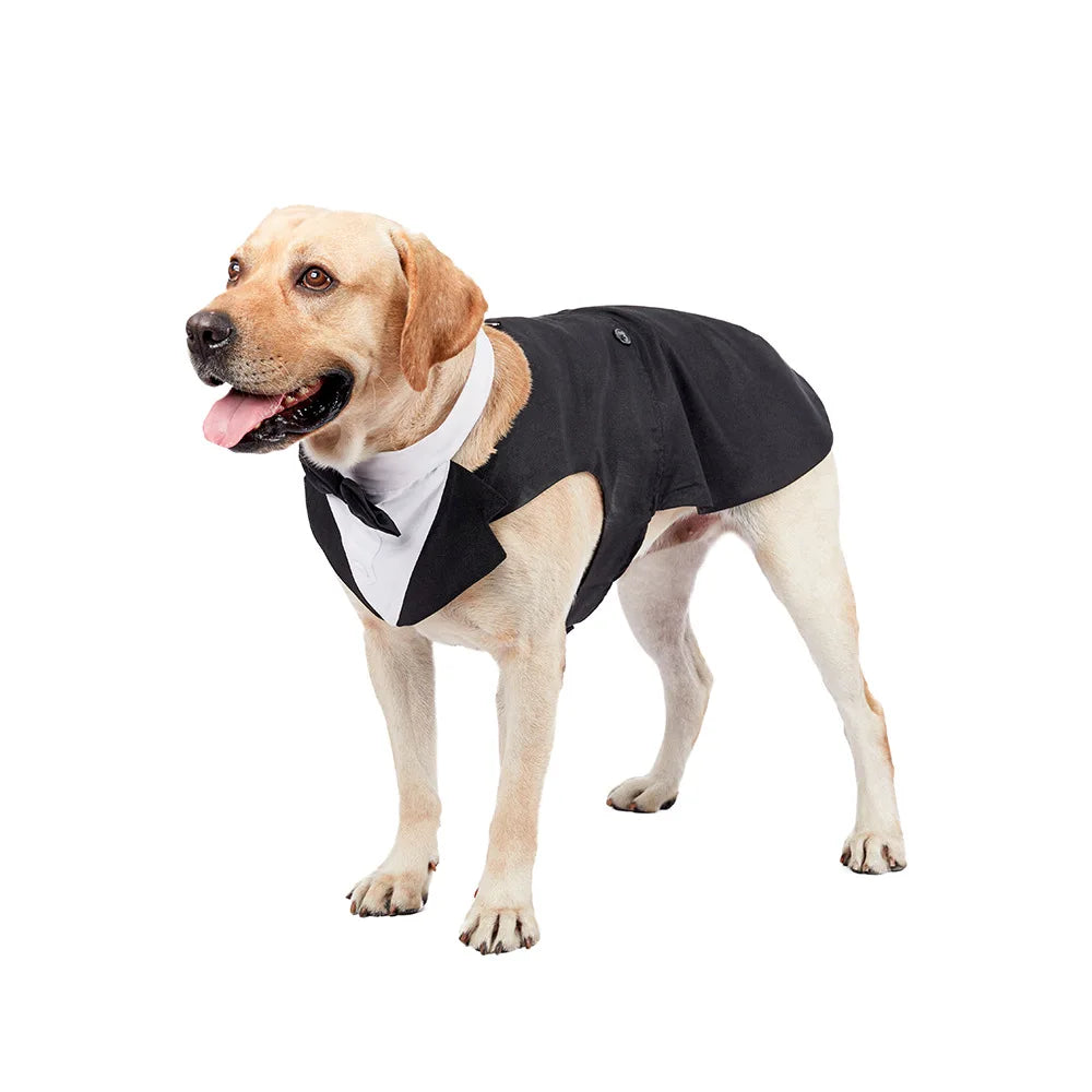 Formal Suit Tie Bow Shirt