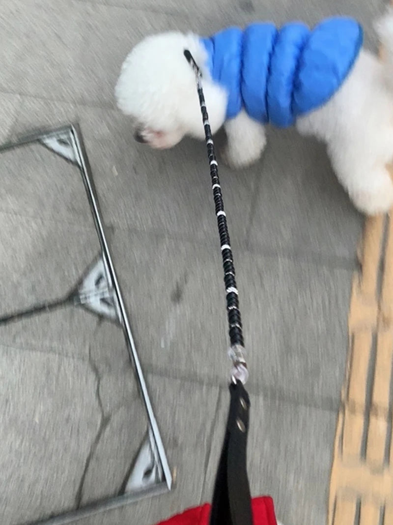 Cat / Dog Collar and Leash Set Pet CobraDobra