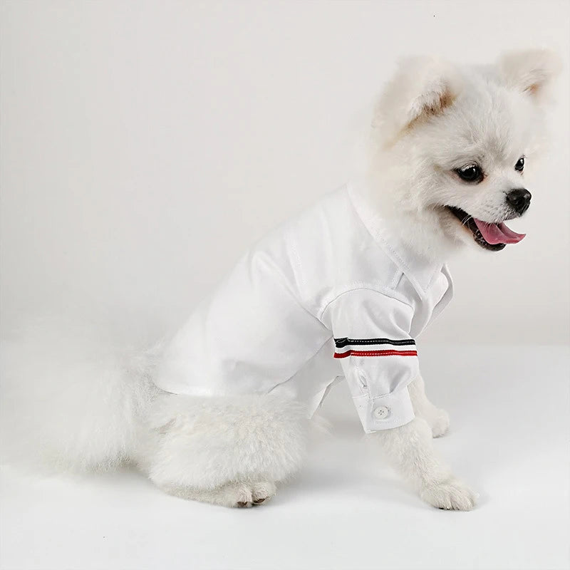 Spring Autumn Summer Pet Outfits