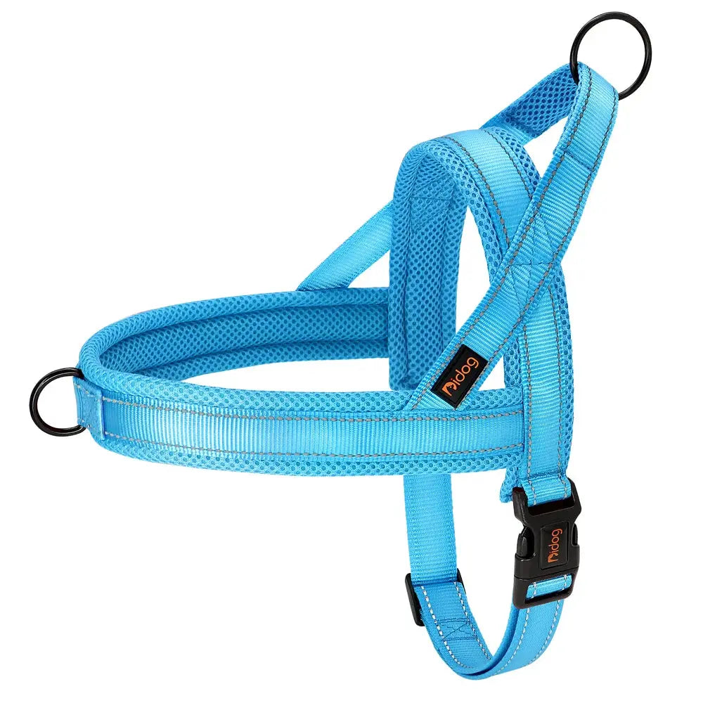 EverGlow Personalized Harness