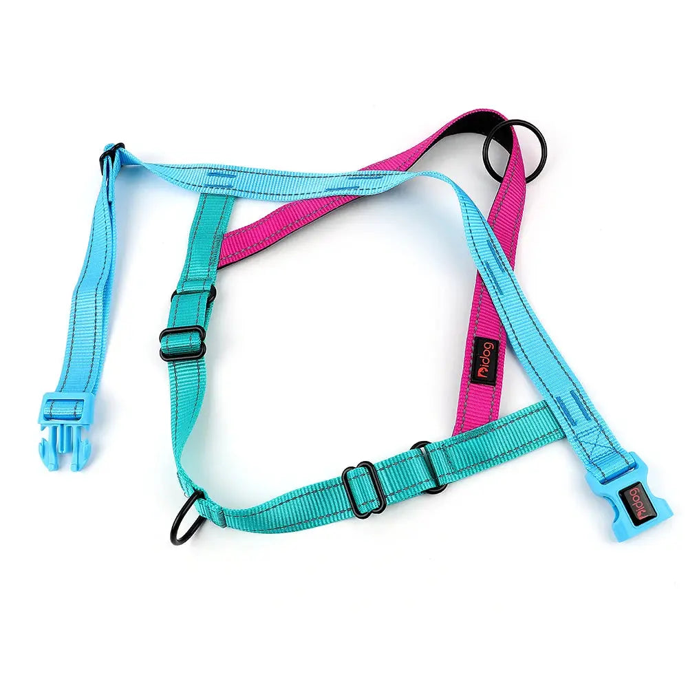 ActiveNight Harness