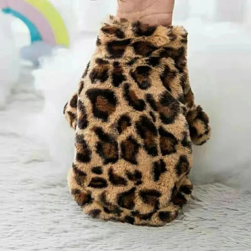 Dogs Coat Leopard