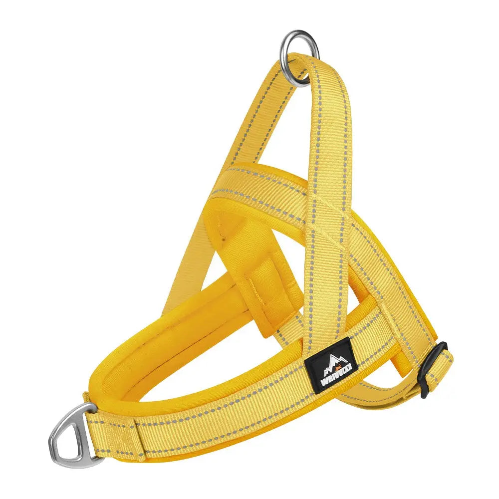 SteadyHalter Harness
