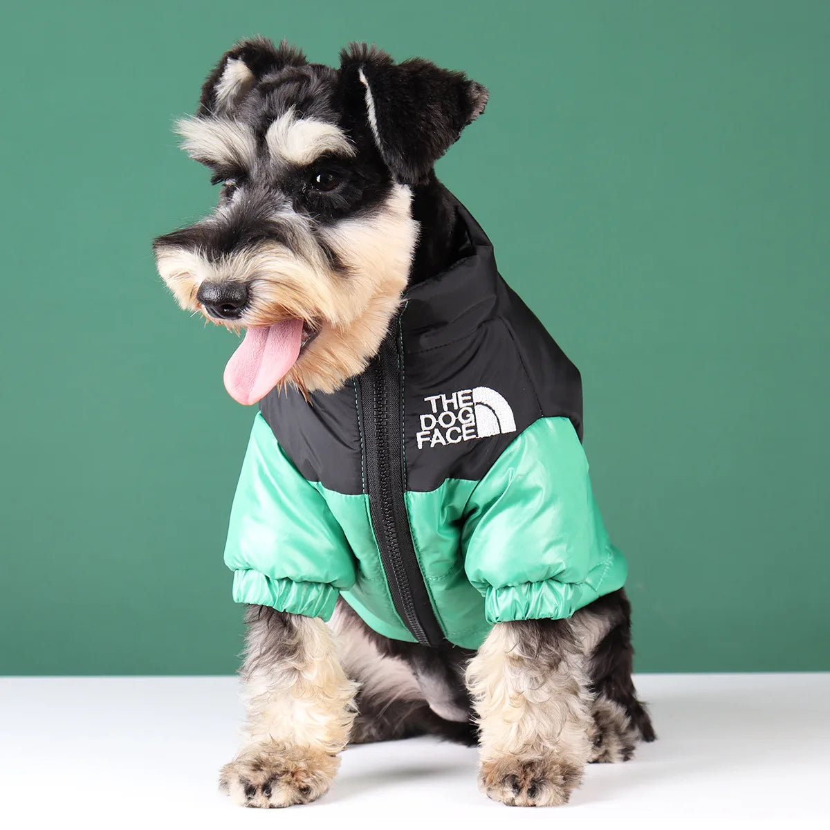 Winter Dog Clothes