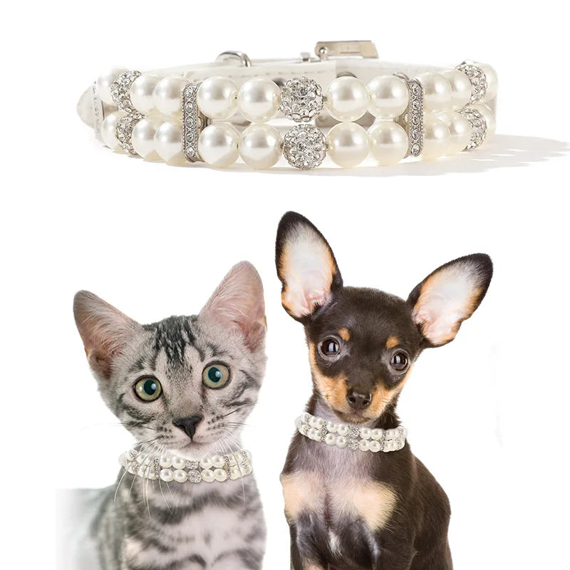 Cat / Dog Collar and Leash Set Pet CobraDobra