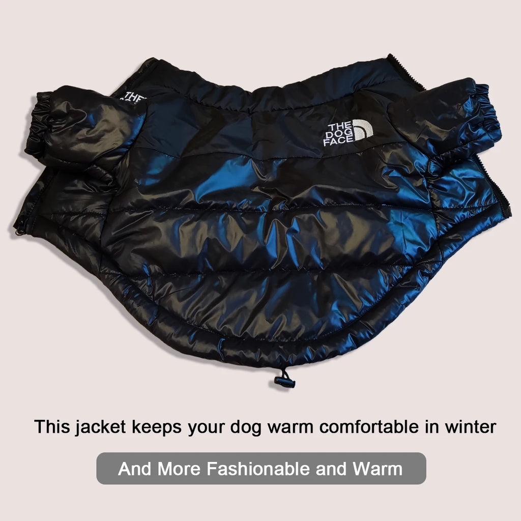 Winter Dog Clothes