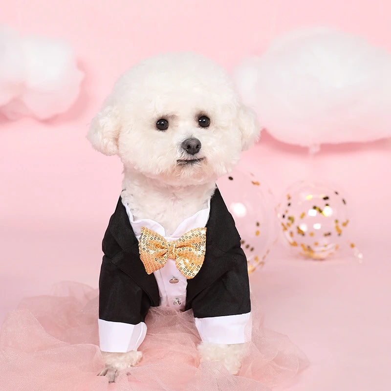 Formal Shirt for Small Dogs