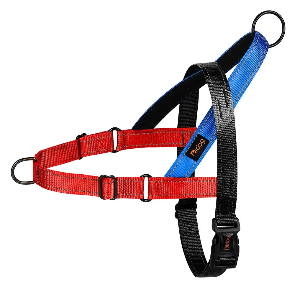 ActiveNight Harness