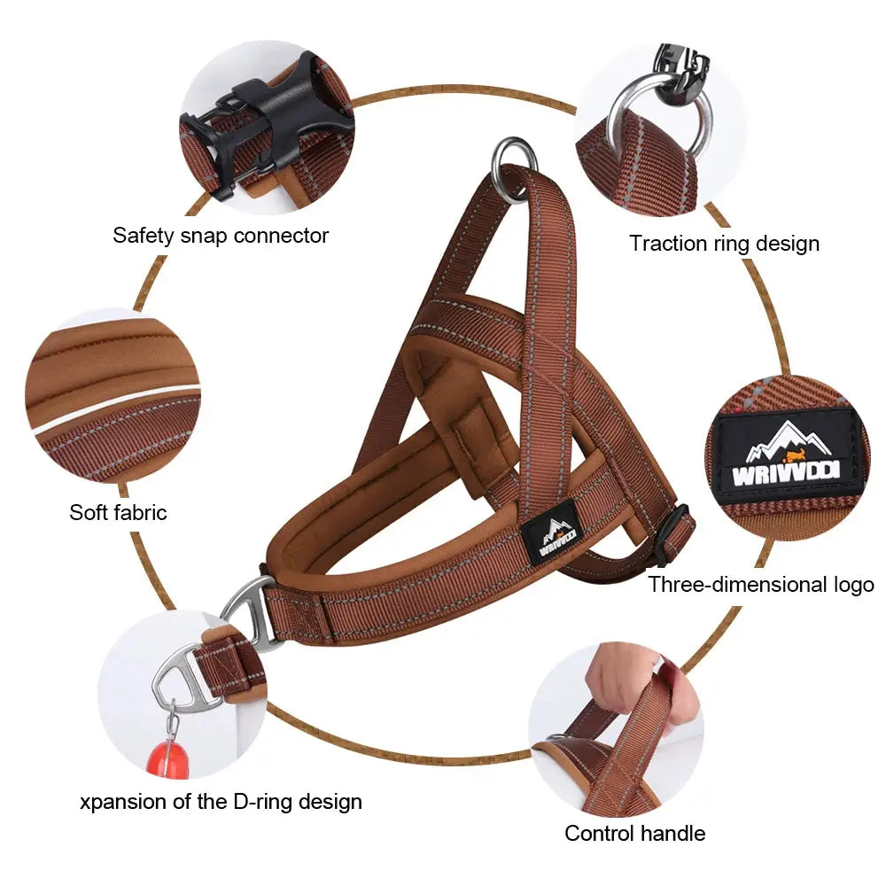 SteadyHalter Harness