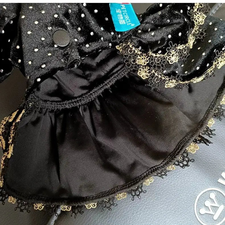 Dog Dress - Velvet Black Gold Fashion Clothing