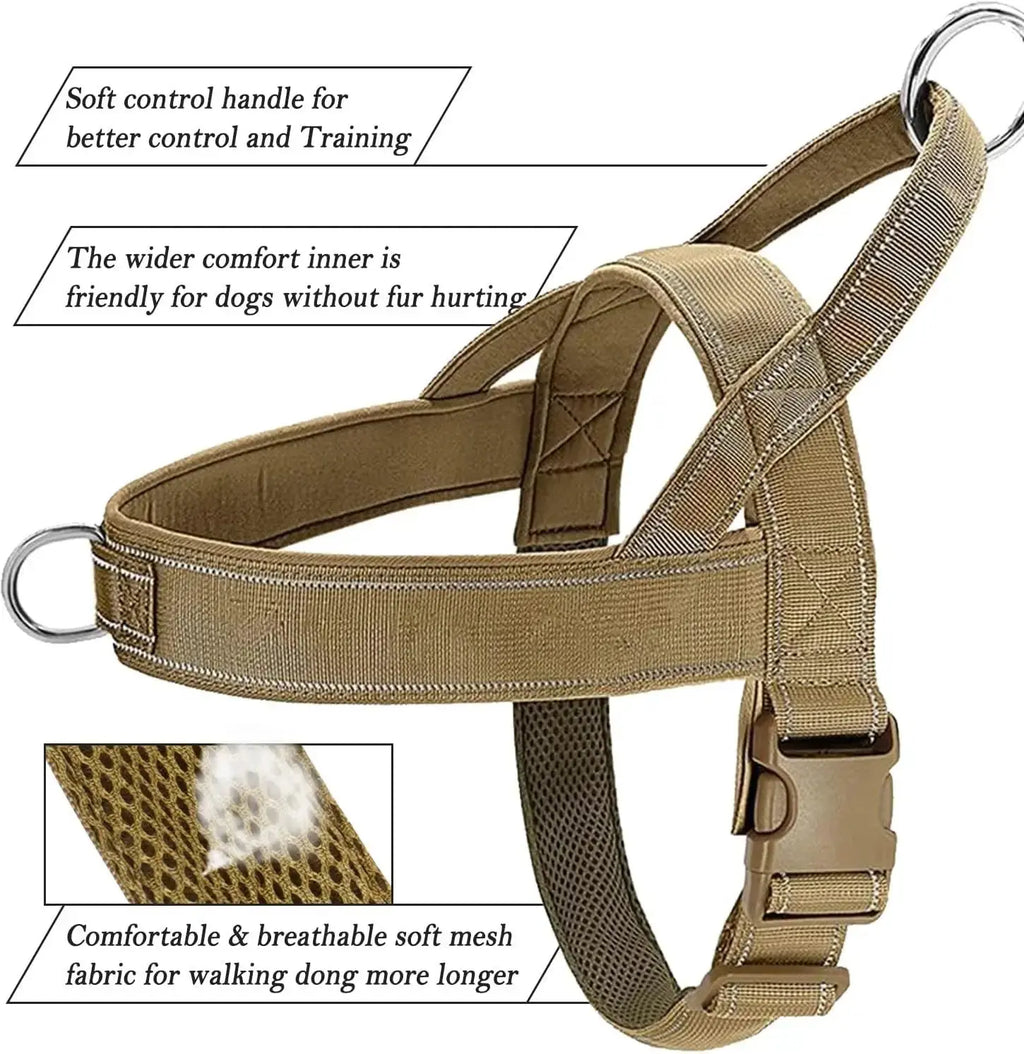 EasyGo Harness