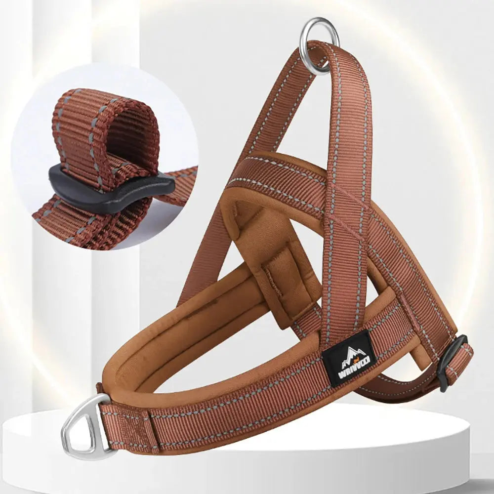 SteadyHalter Harness
