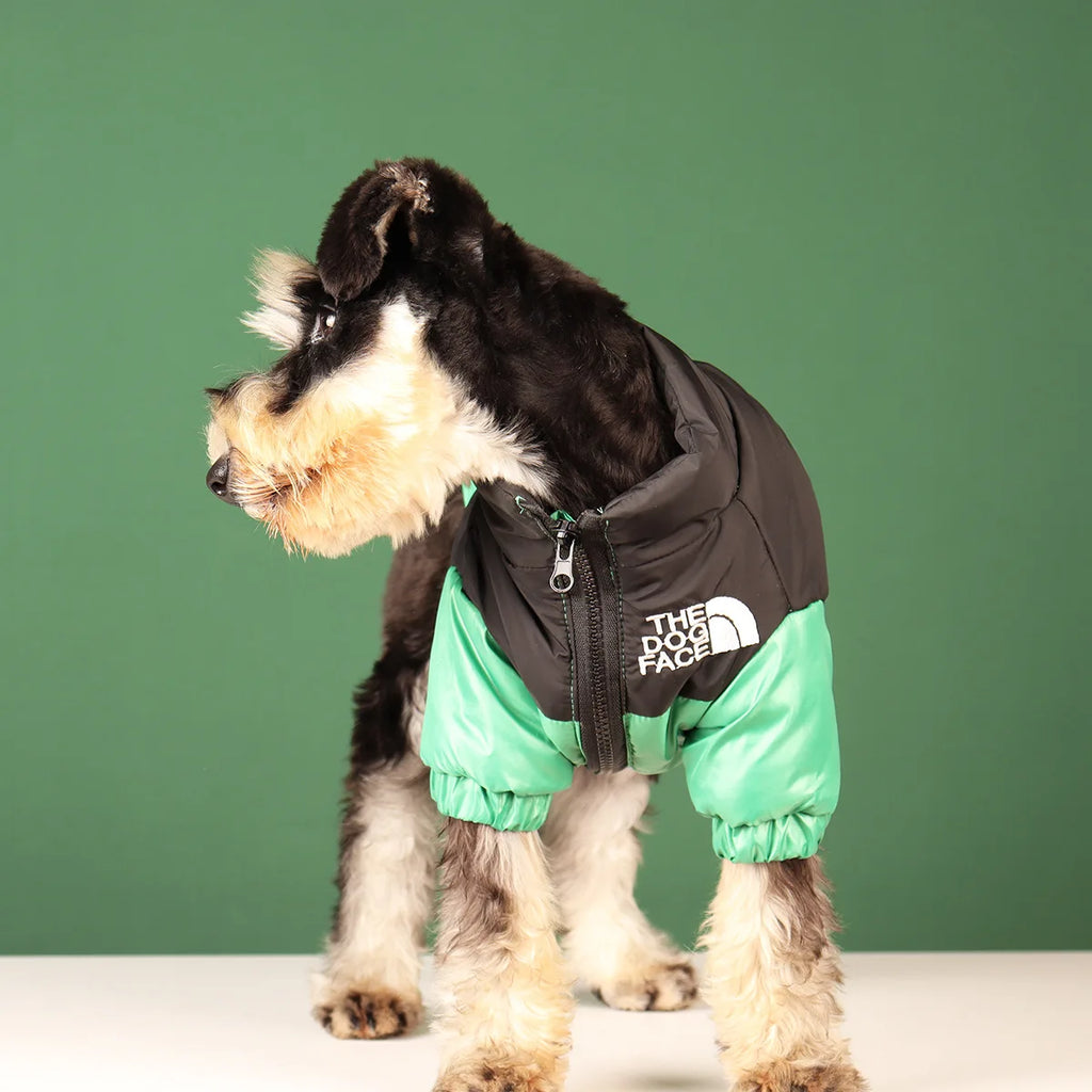 Winter Dog Clothes