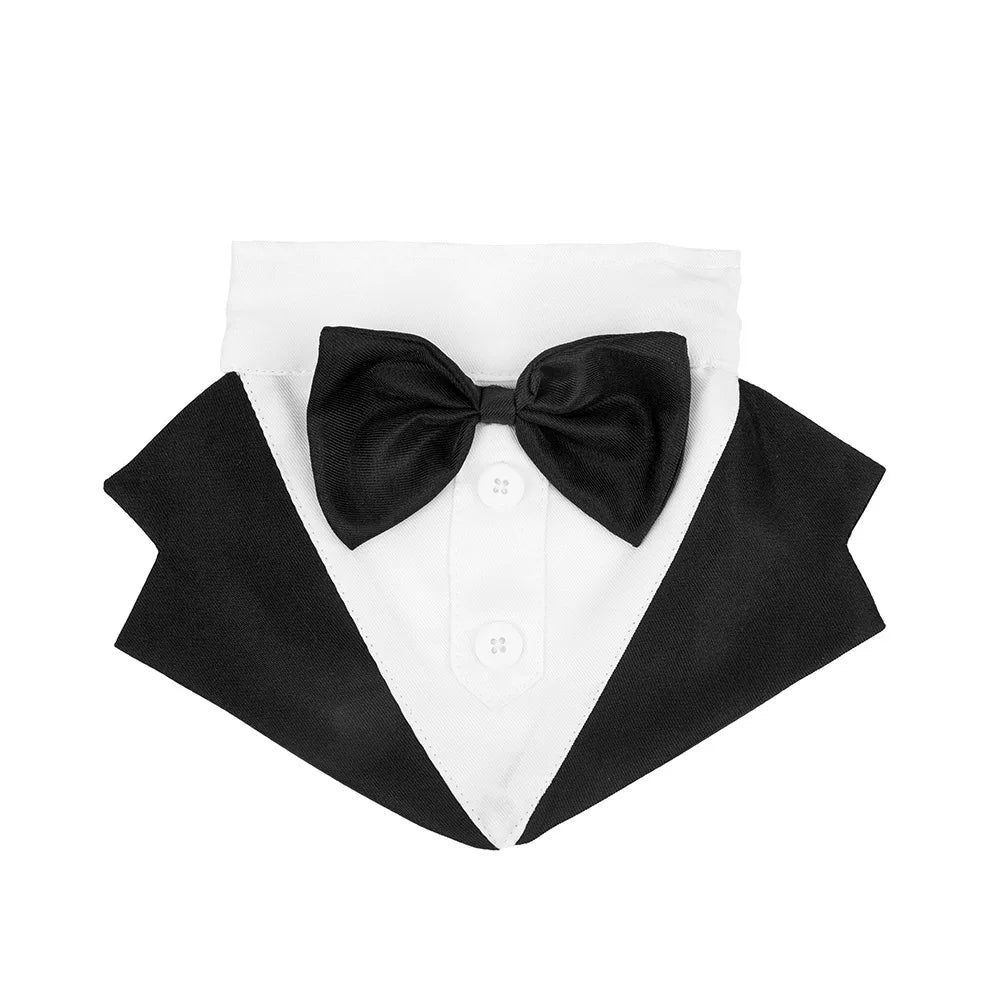 Formal Suit Tie Bow Shirt