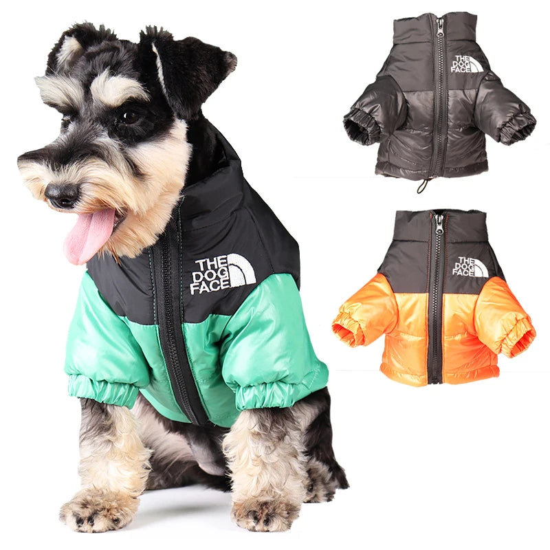Winter Dog Clothes
